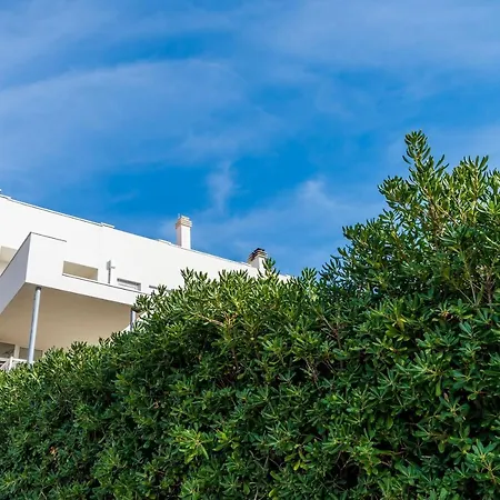 Bovolini's Guest house